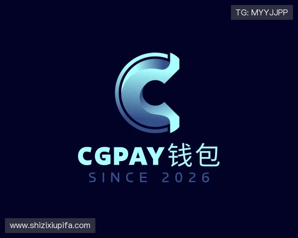 了解CGPay